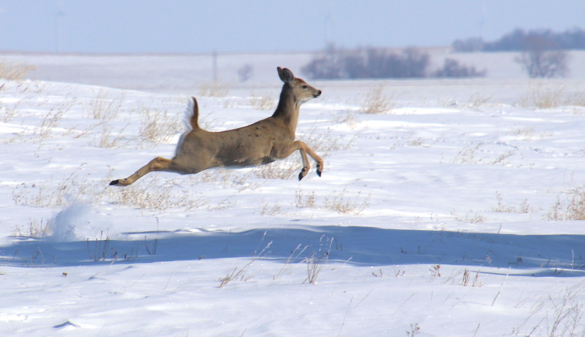 Taking Flight